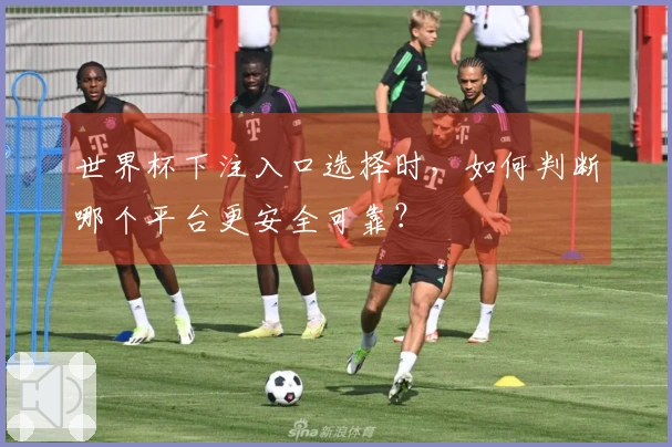 世界杯下注入口选择时，如何判断哪个平台更安全可靠？