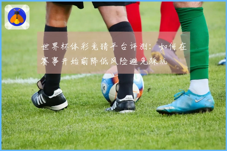 世界杯体彩竞猜平台评测：如何在赛事开始前降低风险避免踩坑