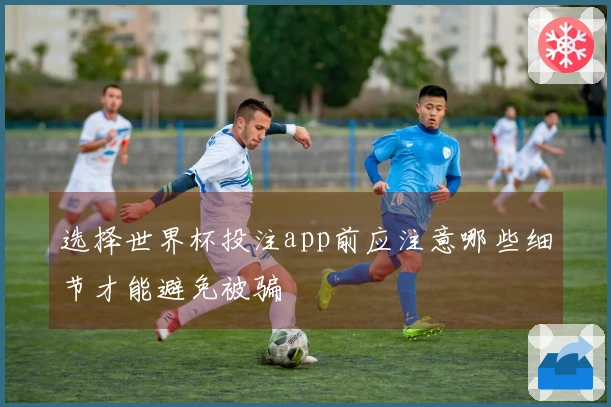 选择世界杯投注app前应注意哪些细节才能避免被骗