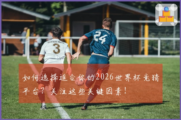 如何选择适合你的2026世界杯竞猜平台？关注这些关键因素！