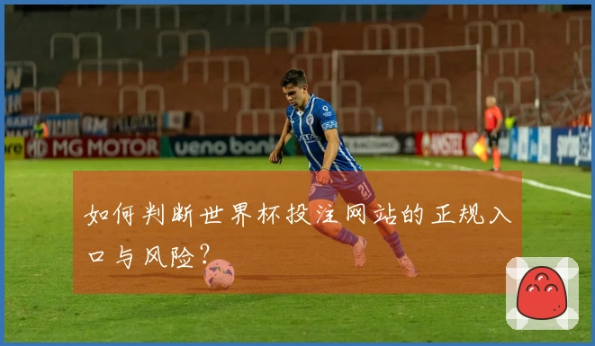 如何判断世界杯投注网站的正规入口与风险？