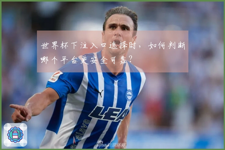世界杯下注入口选择时，如何判断哪个平台更安全可靠？
