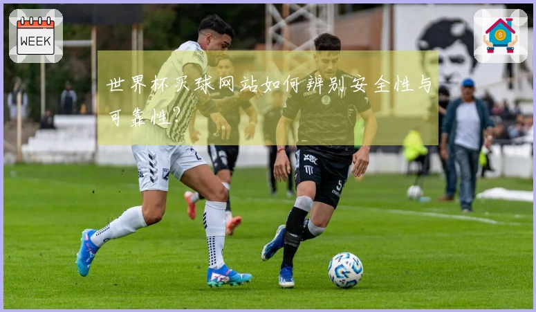 世界杯买球网站如何辨别安全性与可靠性？