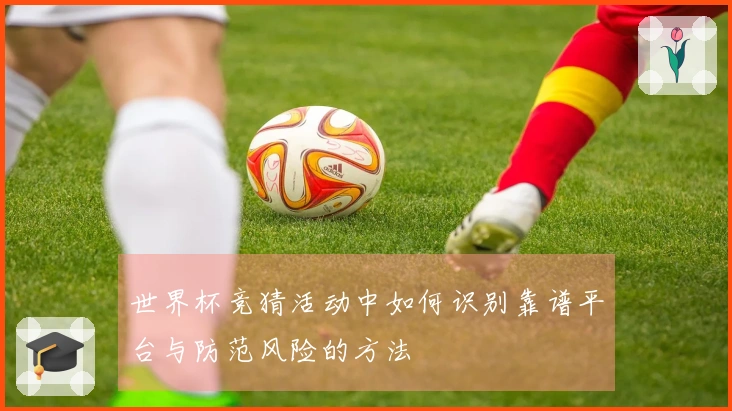 世界杯竞猜活动中如何识别靠谱平台与防范风险的方法