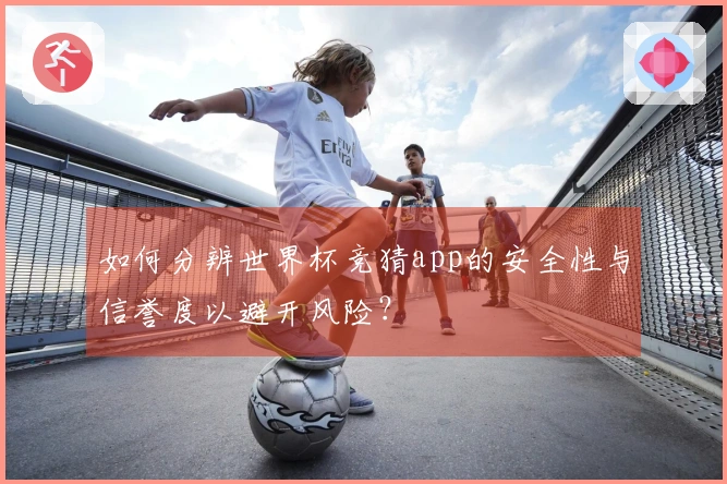 如何分辨世界杯竞猜app的安全性与信誉度以避开风险？