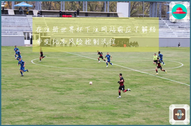 在注册世界杯下注网站前应了解赔率变化及风险控制流程