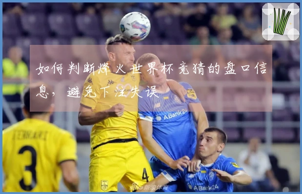 如何判断烽火世界杯竞猜的盘口信息,避免下注失误