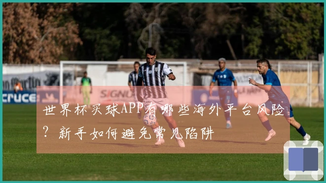 世界杯买球APP有哪些海外平台风险？新手如何避免常见陷阱