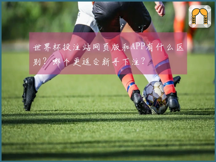 世界杯投注站网页版和APP有什么区别?哪个更适合新手下注?