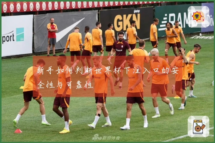新手如何判断世界杯下注入口的安全性与可靠性